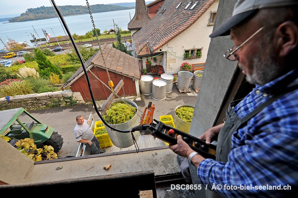 Bildname:  _DSC8655 BildgrÃ¶sse: 4256  x 2832 px /  36.0 x 24.0 cm (300dpi)StichwÃ¶rter:  "Läset" in Schafis am...