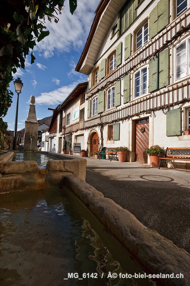 Bildname:  _MG_6142 BildgrÃ¶sse: 2912  x 4368 px /  24.7 x 37.0 cm (300dpi)StichwÃ¶rter:  Weinbaubetrieb in...