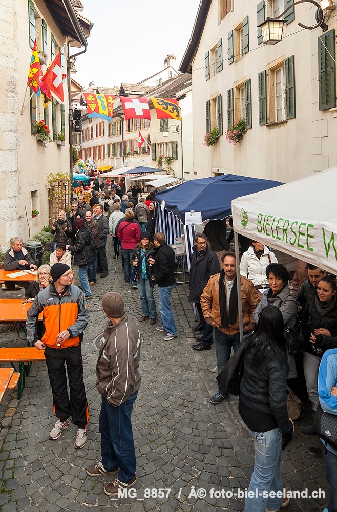 Bildname:  _MG_8857 SeelandBildgrÃ¶sse: 3506  x 5332 px /  29.7 x 45.1 cm (300dpi)StichwÃ¶rter:  Weinfest "Trüelete" in...