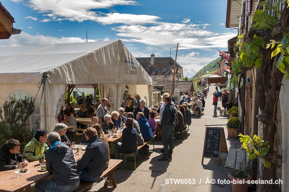 Bildname:  _STW6053 Wyprob in SchafisBildgrÃ¶sse: 7360  x 4912 px /  62.3 x 41.6 cm (300dpi)StichwÃ¶rter:  Weinprobe; Schafis;...
