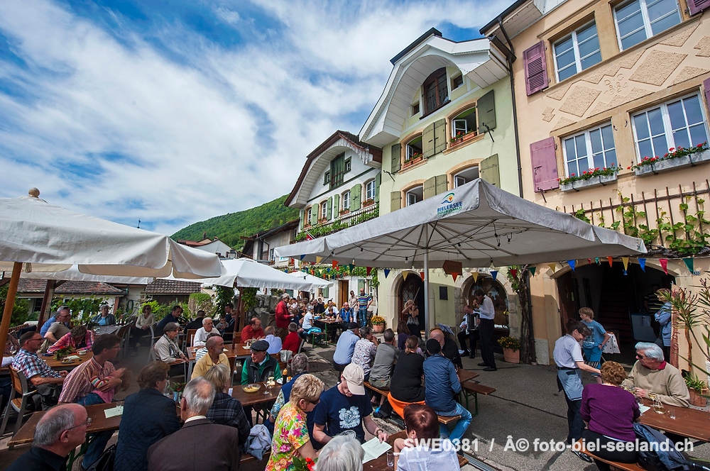 Bildname:  _SWE0381 BildgrÃ¶sse: 4256  x 2832 px /  36.0 x 24.0 cm (300dpi)StichwÃ¶rter:  Weinfest in Schafis am...