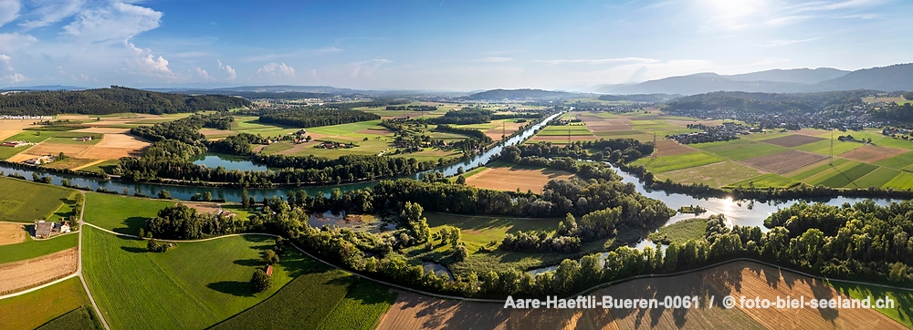 Naturschutzgebiet Haeftli Bueren an der Aare alt text image