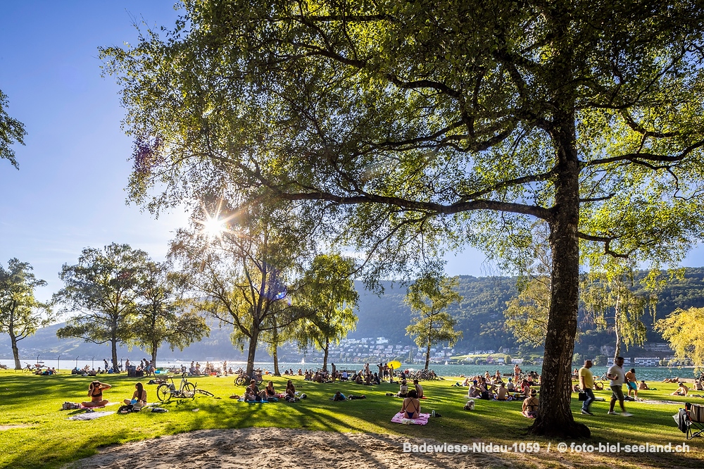 Sommer am Bielersee alt text image