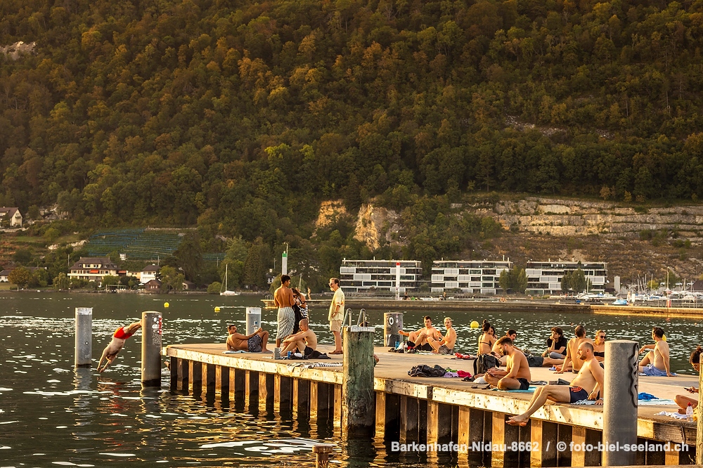 Bielersee alt text image