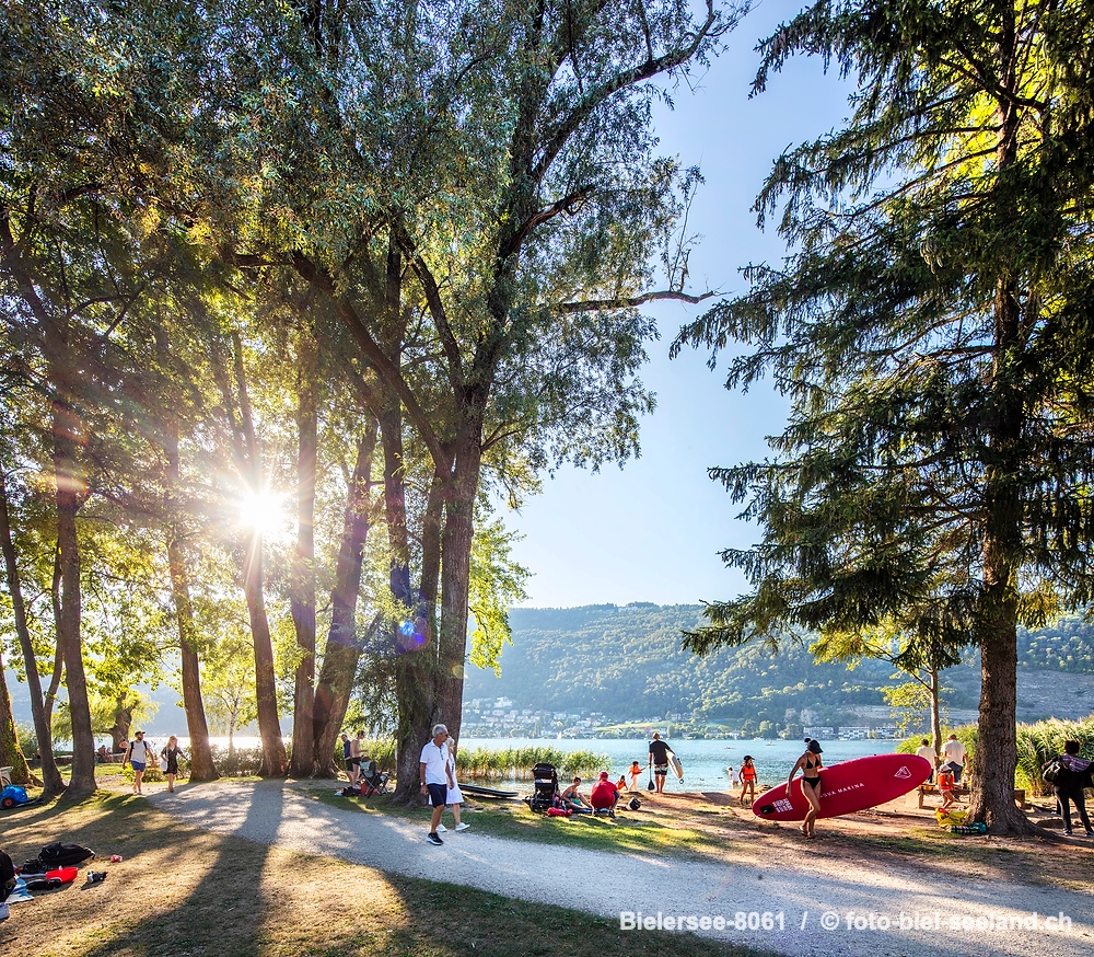 Sommer am Bielersee alt text image