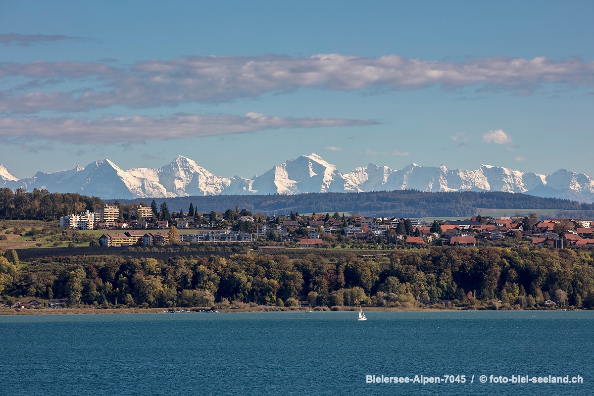 Bildname:  Bielersee-Alpen-7045 Am Bielersee mit Alpenpanorama und MörigenBildgroesse: 8563  x 5709 px /  72.5 x 48.3 cm (300dpi)Stichwoerter: ...