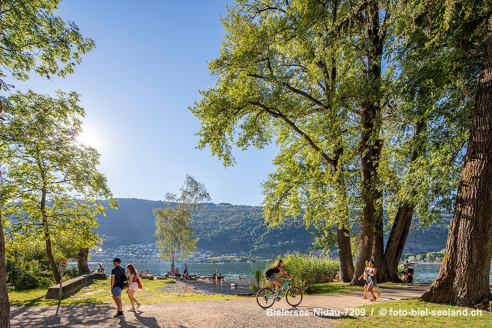 Sommer am Bielersee alt text image