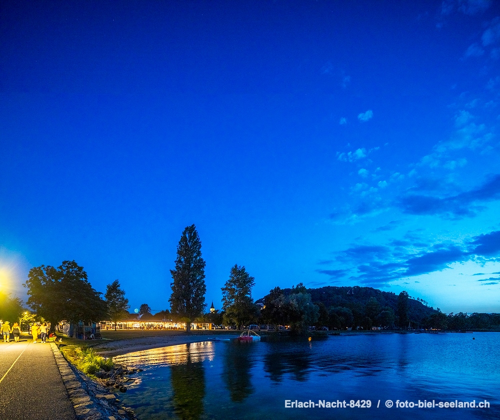 Erlach  Bielersee alt text image