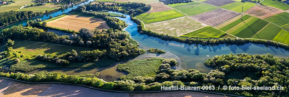 Naturschutzgebiet Haeftli Bueren an der Aare alt text image