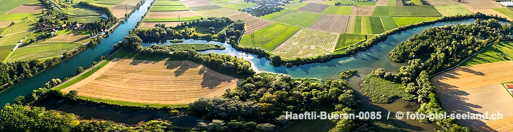 Naturschutzgebiet Haeftli Bueren an der Aare alt text image