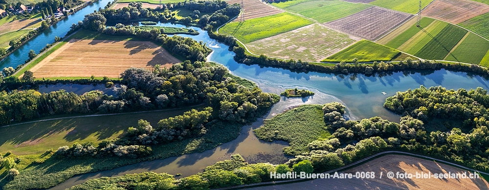 Naturschutzgebiet Haeftli Bueren an der Aare alt text image