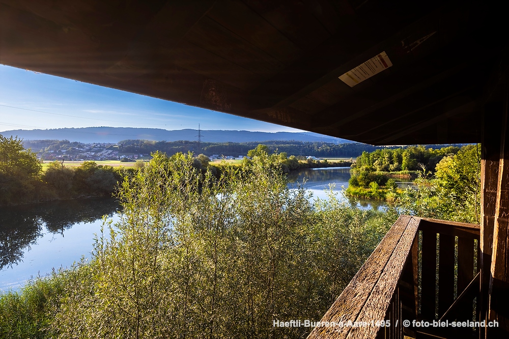 Naturschutzgebiet Haeftli Bueren an der Aare alt text image