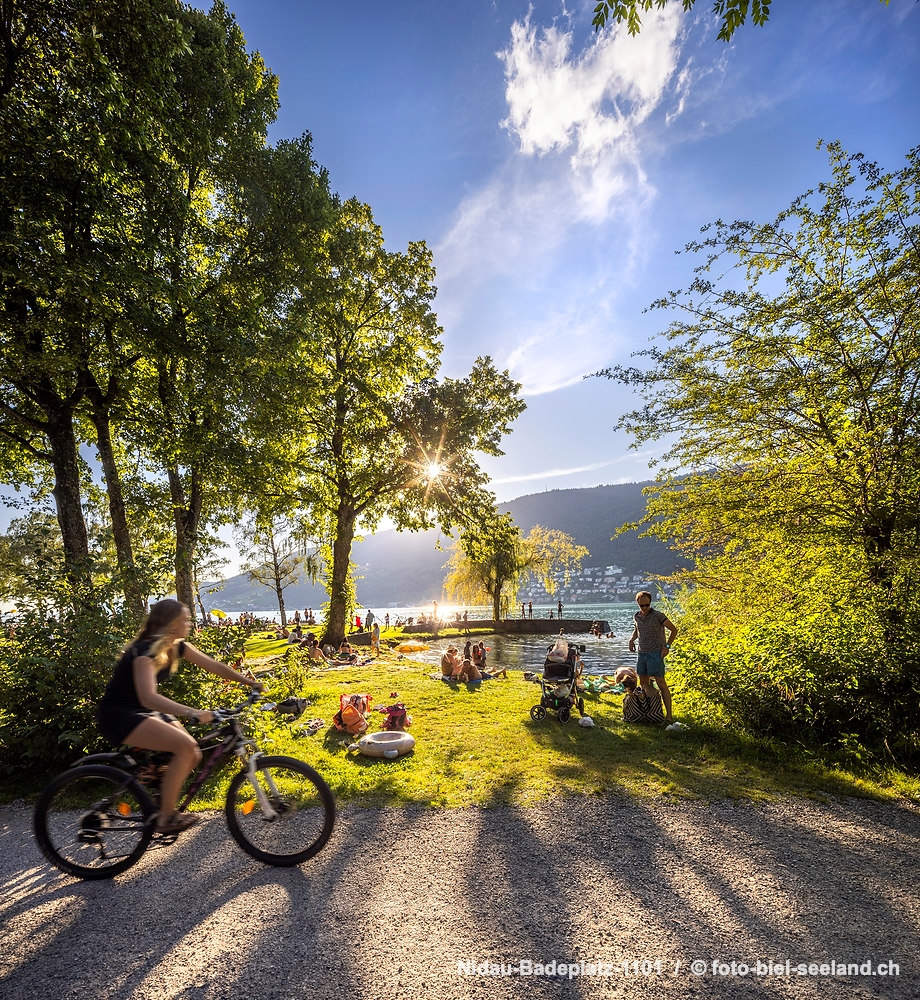 Sommer am Bielersee alt text image