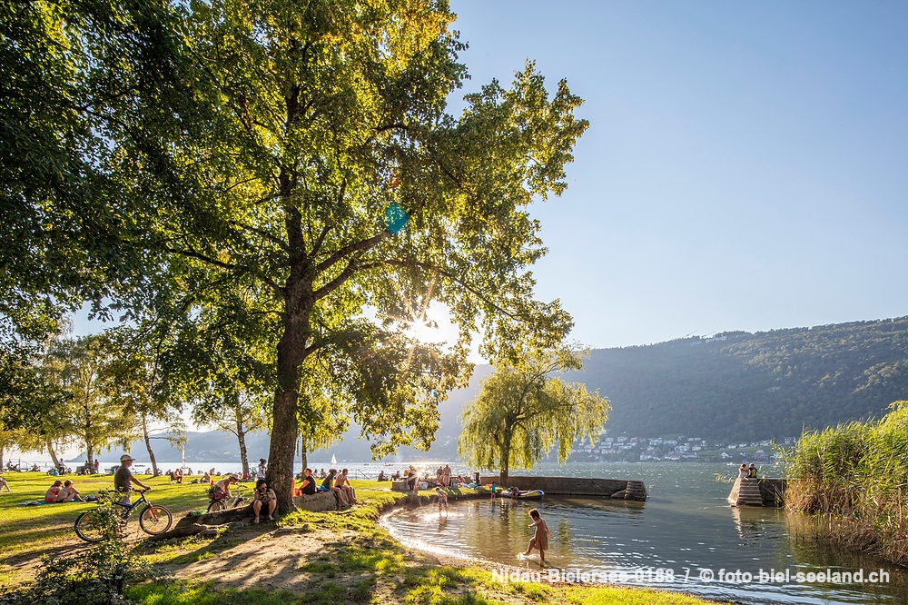 Sommer am Bielersee alt text image