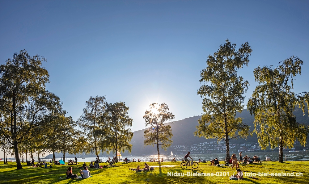 Sommer am Bielersee alt text image