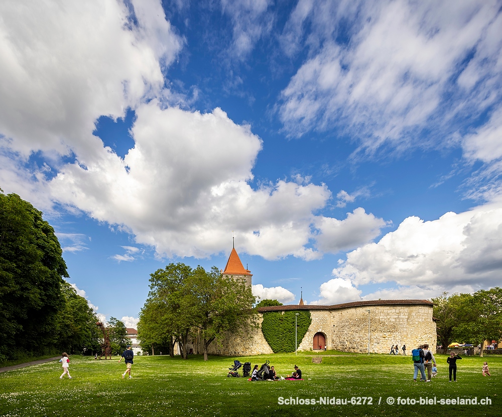 Schloss Nidau alt text image