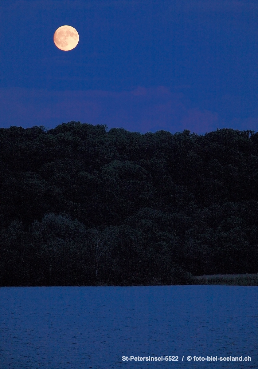 Bildname:  St-Petersinsel-5522 Vollmond am BielerseeBildgroesse: 2872  x 4105 px /  65.3 x 93.3 cm (300dpi)Stichwoerter:  Bielersee, Drei Seen Land,...