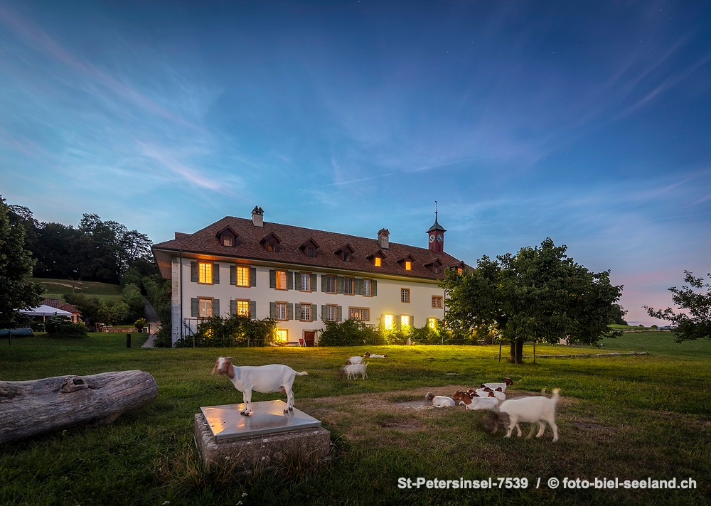 Klosterhotel auf der St. Petersinsel alt text image