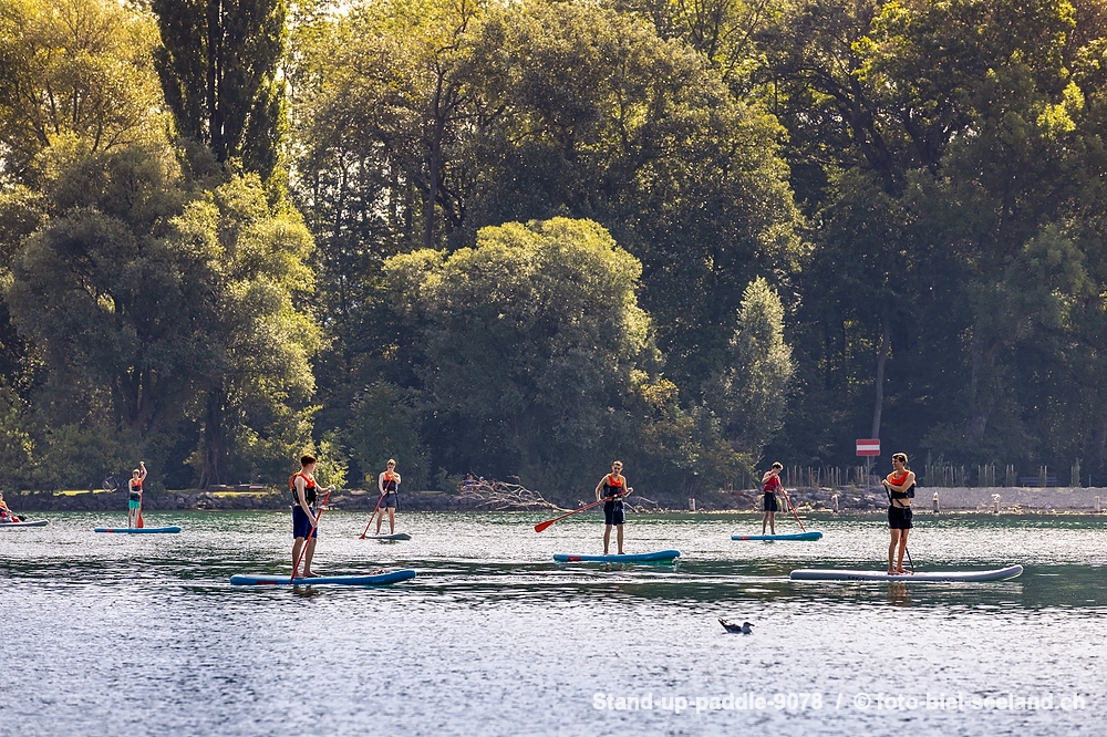 Bielersee alt text image