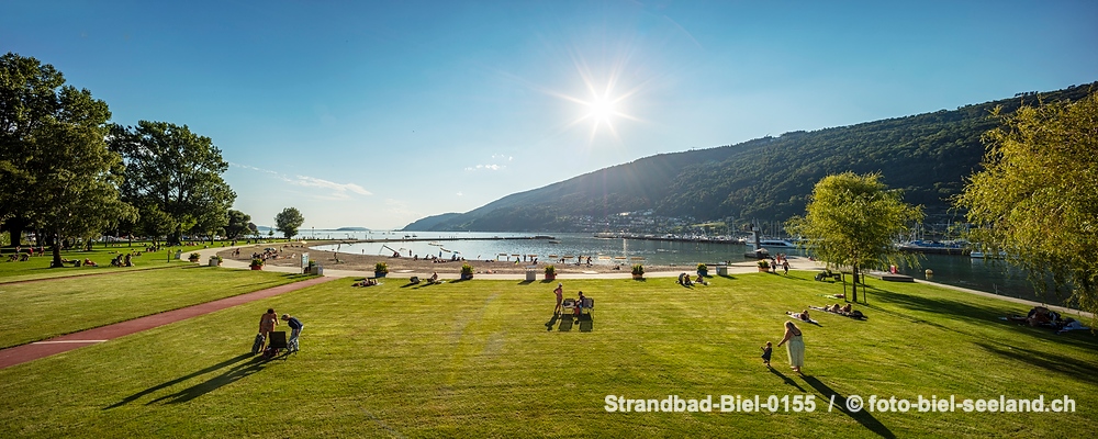 Sommer am Bielersee alt text image