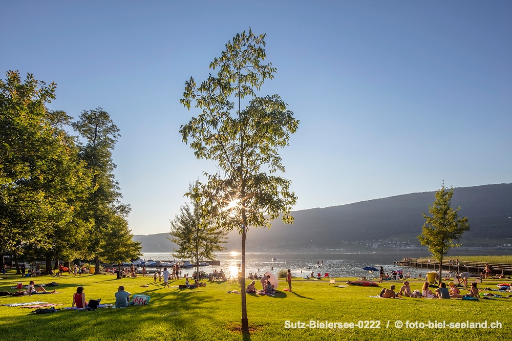 Sommer am Bielersee alt text image