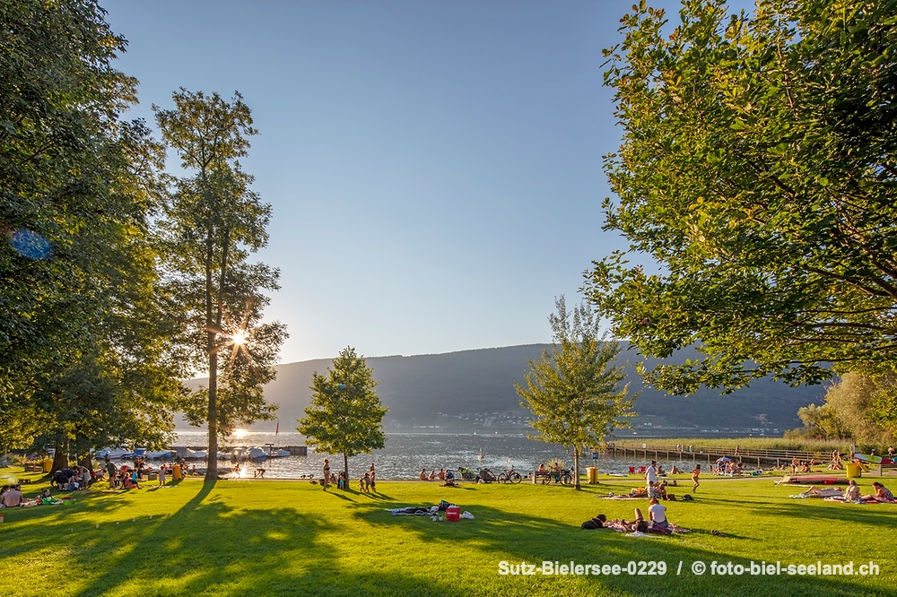 Sommer am Bielersee alt text image