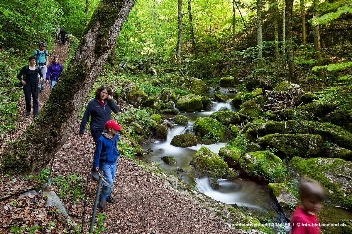 Bildname:  Twannbachschlucht-3044_50 TwannbachschluchtBildgroesse: 5616  x 3744 px /  47.5 x 31.7 cm (300dpi)Stichwoerter:  Ausflugsziel, Drei Seen...
