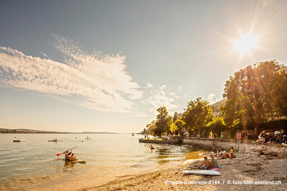 Sommer am Bielersee alt text image