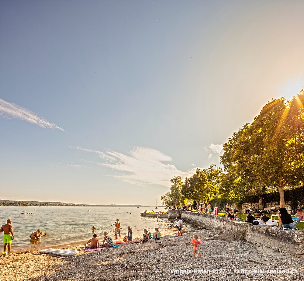 Sommer am Bielersee alt text image