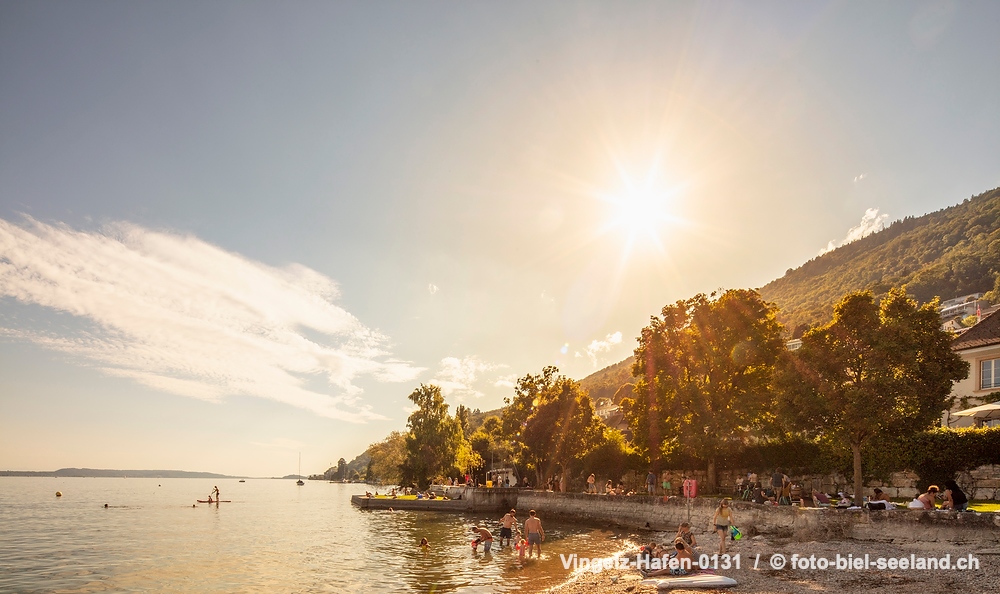 Sommer am Bielersee alt text image