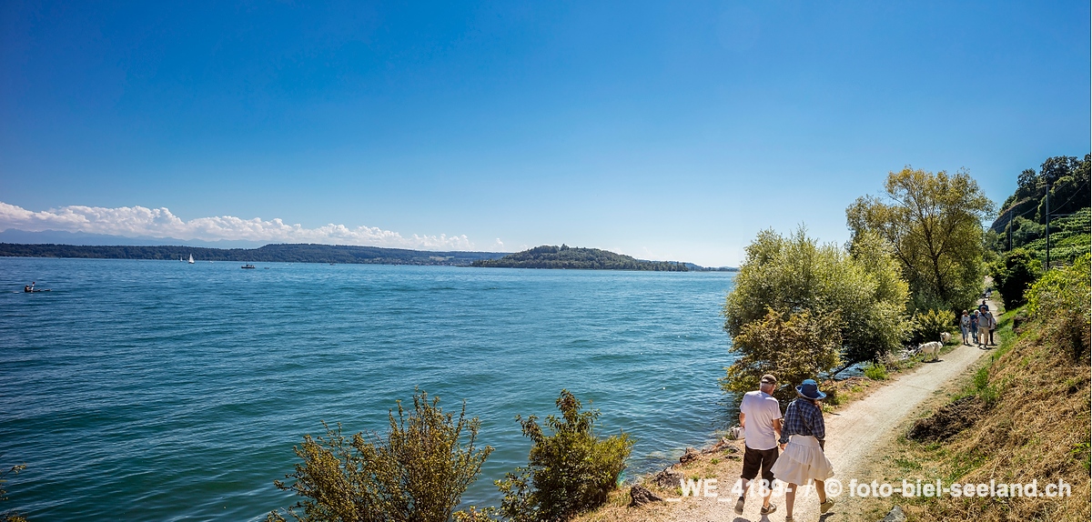 Bildname:  _WE_4189- Seeuferweg zwischen Twann und LigerzBildgroesse: 11636  x 5562 px /  98.5 x 47.1 cm (300dpi)Stichwoerter:  Berner Seeland,...