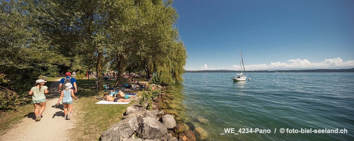 Bildname:  _WE_4234-Pano Sommer in Twann am BielerseeBildgroesse: 14452  x 5775 px /  122.4 x 48.9 cm (300dpi)Stichwoerter:  Badewiese, Berner Seeland,