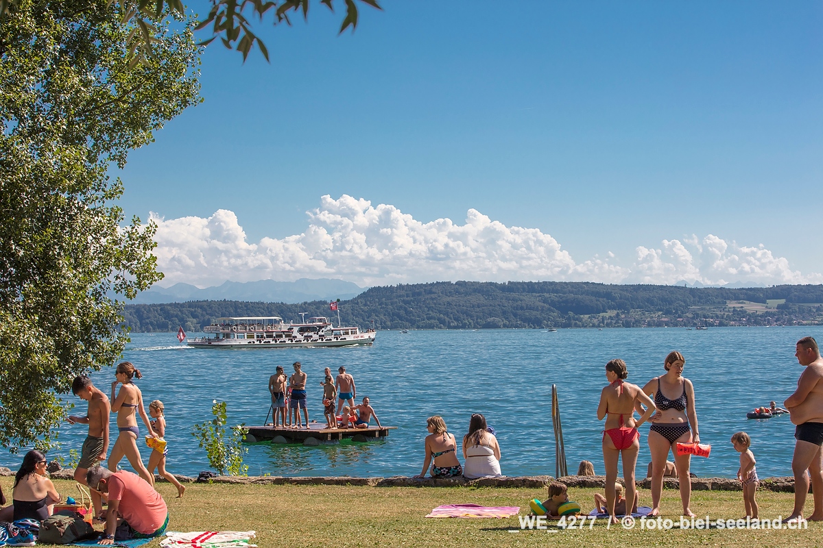 Bildname:  _WE_4277 Sommer in Twann am BielerseeBildgroesse: 8688  x 5792 px /  73.6 x 49.0 cm (300dpi)Stichwoerter:  Badewiese, Berner Seeland,...