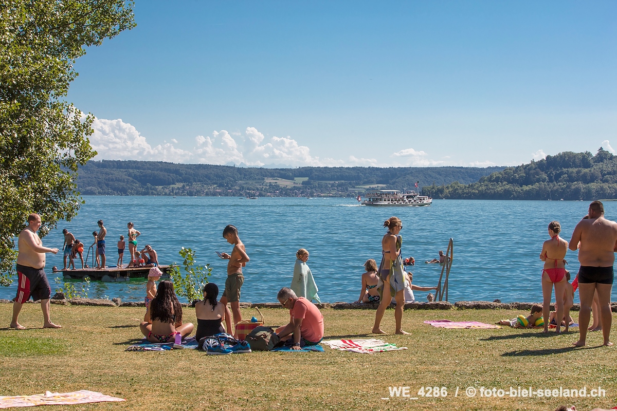 Bildname:  _WE_4286 Sommer in Twann am BielerseeBildgroesse: 8688  x 5792 px /  73.6 x 49.0 cm (300dpi)Stichwoerter:  Badewiese, Berner Seeland,...