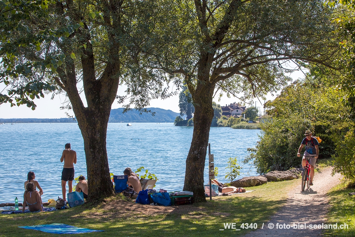 Bildname:  _WE_4340 Sommer in Twann am BielerseeBildgroesse: 8688  x 5792 px /  73.6 x 49.0 cm (300dpi)Stichwoerter:  Badewiese, Berner Seeland,...