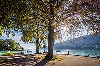 Sommer am Bielersee Alt text thumbnail