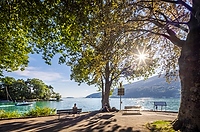 Sommer am Bielersee Alt text thumbnail