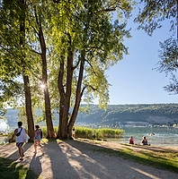 Sommer am Bielersee Alt text thumbnail