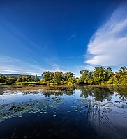 Naturschutzgebiet Haeftli Bueren an der Aare Alt text thumbnail