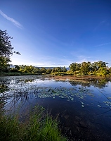 Naturschutzgebiet Haeftli Bueren an der Aare Alt text thumbnail