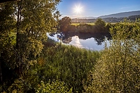 Naturschutzgebiet Haeftli Bueren an der Aare Alt text thumbnail