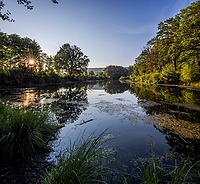 Naturschutzgebiet Haeftli Bueren an der Aare Alt text thumbnail