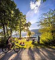 Sommer am Bielersee Alt text thumbnail