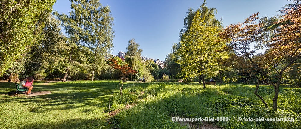 Bildname:  Elfenaupark-Biel-0002- Bieler Elfenaufpark  /   2013  Bildgroesse: 9343  x 4016 px /  79.1 x 34.0 cm (300dpi)Stichwoerter:  Elfenaupark;...