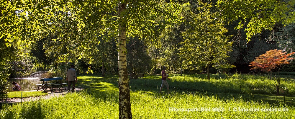 Bildname:  Elfenaupark-Biel-9952- Bieler Elfenaufpark  /   2013  Bildgroesse: 9191  x 3729 px /  77.8 x 31.6 cm (300dpi)Stichwoerter:  Elfenaupark;...