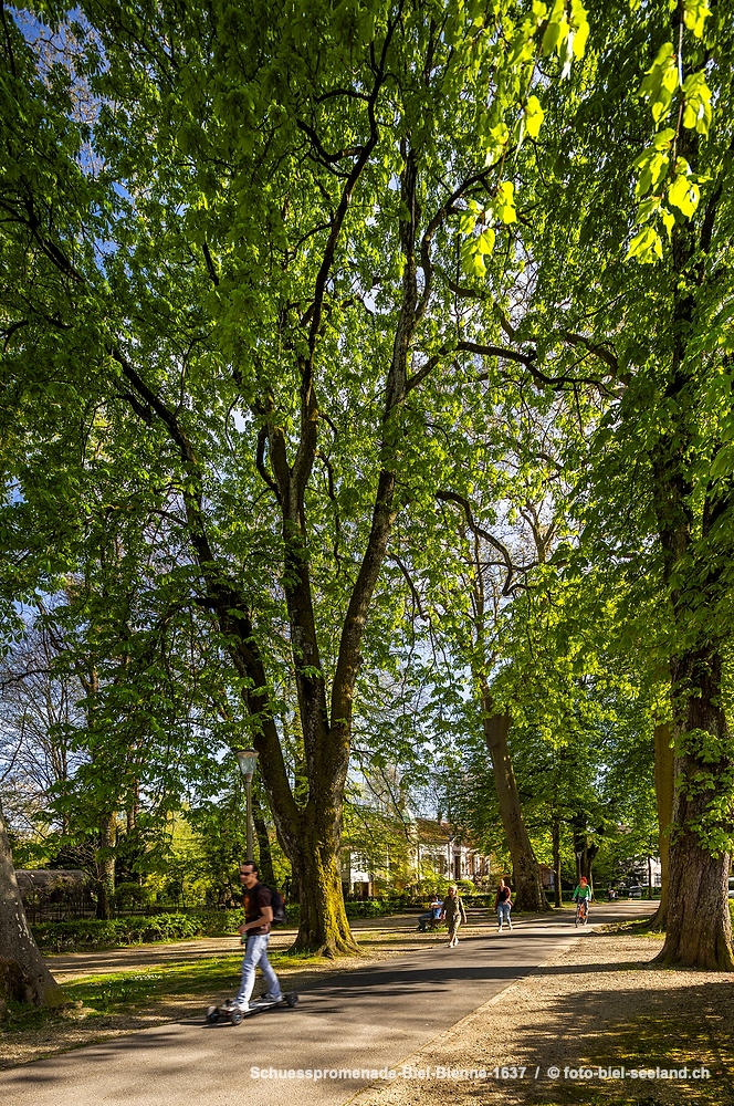 Promenade