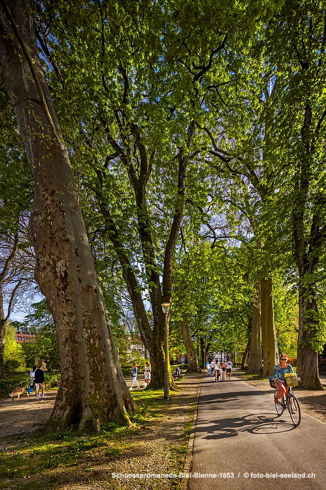 Promenade