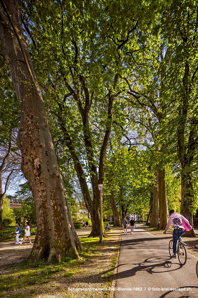 Promenade