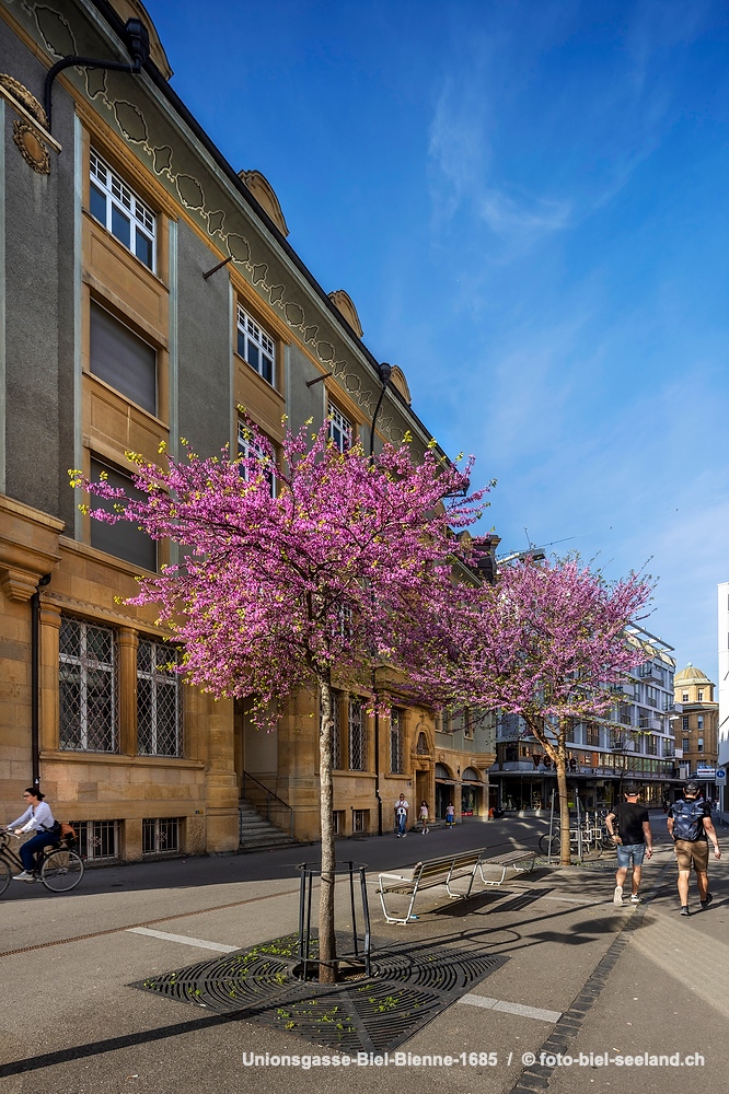 Stadt Biel
