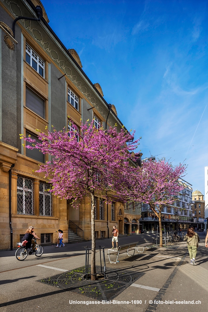 Stadt Biel
